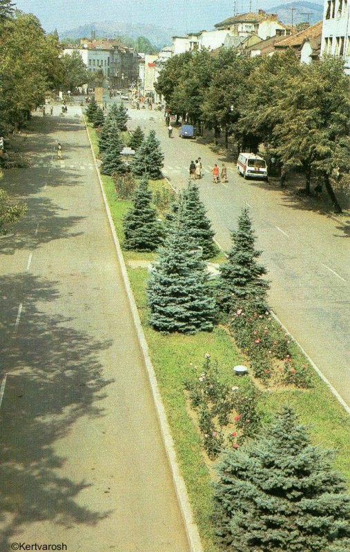Вид на площу Леніна (тепер площа Кирила та Мефодія) в Мукачеві 1985.